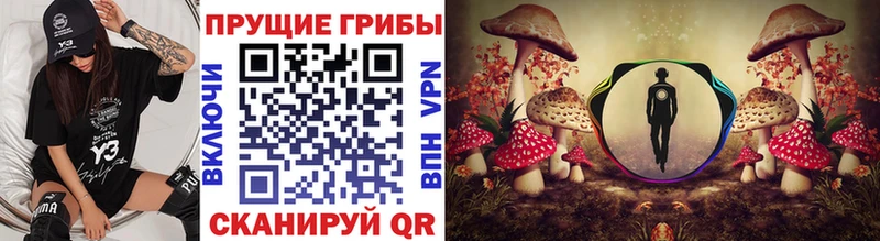 Псилоцибиновые грибы MAGIC MUSHROOMS Суздаль